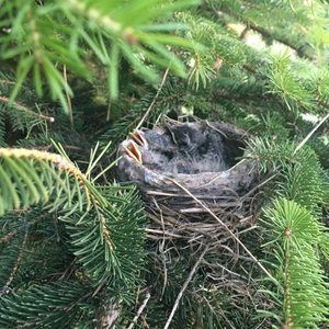 Meet your Posher, Becky